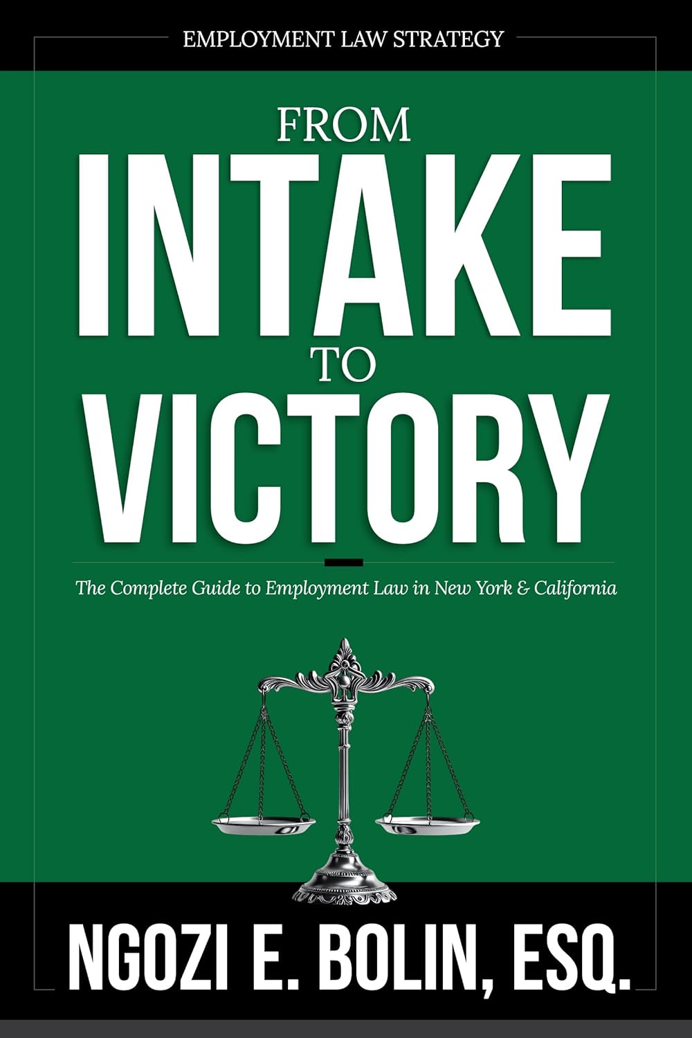 Employment Law Strategy: From Intake to Victory, by Ngozi E. Bolin, Esq.