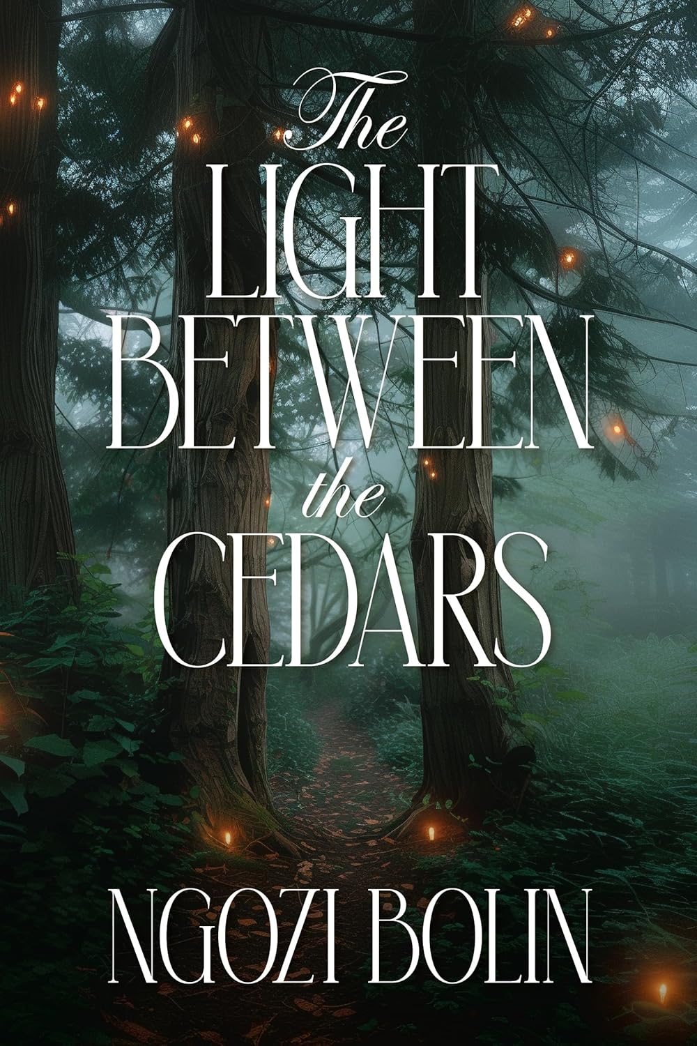 The Light Between the Cedars