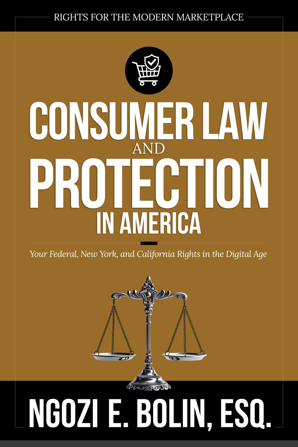 Consumer Law & Protection in America, by Ngozi E. Bolin, Esq.